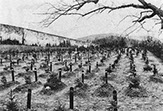 Friedhof Hadamar. Die Leichen der Ermordeten wurden ab 1942 auf einem  neu angelegten Anstaltsfriedhof in Massengräbern bestattet.